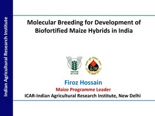 IndianAgriculturalResearchInstitute
Molecular Breeding for Development of
Biofortified Maize Hybrids in India
Firoz Hossain
Maize Programme Leader
ICAR-Indian Agricultural Research Institute, New Delhi
 
