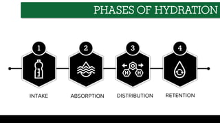 INTAKE ABSORPTION DISTRIBUTION RETENTION
2 3 4
1
PHASES OF HYDRATION
 