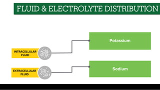 INTRACELLULAR
FLUID
EXTRACELLULAR
FLUID
Potassium
Sodium
FLUID & ELECTROLYTE DISTRIBUTION
 