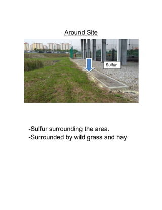 Around Site
-Sulfur surrounding the area.
-Surrounded by wild grass and hay
Sulfur
 