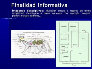 Finalidad Informativa
Imágenes descriptivas : Muestran cosas o lugares de forma
simplificad atendiendo a datos concreto. Por ejemplo: croquis,
planos, mapas, gráficos,…
 