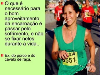 O que é necessário para o bom aproveitamento da encarnação é passar pelo sofrimento, e não se fixar neles durante a vida... Ex. do porco e do cavalo de raça.  