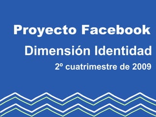 2º cuatrimestre de 2009 Proyecto Facebook Dimensión Identidad 