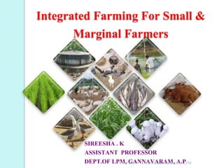 Integrated Farming For Small &
Marginal Farmers
SIREESHA . K
ASSISTANT PROFESSOR
DEPT.OF LPM, GANNAVARAM, A.P11/17/2017 Dr.Sireesha Korlakunta, LPM
 