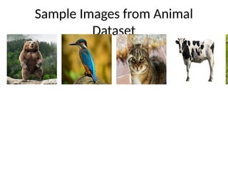 Final_Image_Classification_Project_PPT.pptx