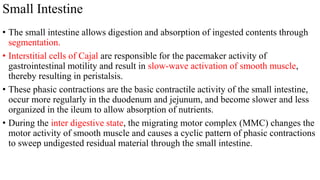 Imaging review Gastrointestinal motility disorders.pptx