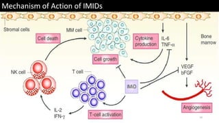 10
Mechanism of Action of IMIDs
 