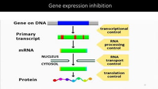 Gene expression inhibition
12
 