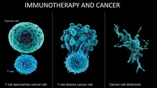 IMMUNOTHERAPY AND CANCER
20
 