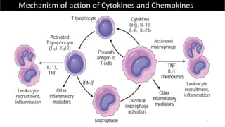 9
Mechanism of action of Cytokines and Chemokines
 