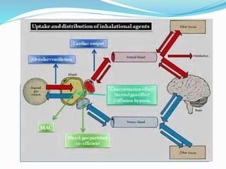 Inhalational Vector Inhalational anaesthetics | PPTX