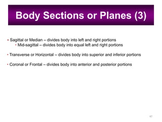 Introduction of human anatomy physiology | PPT