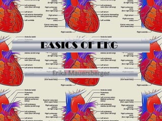 BASICS OF EKG
 