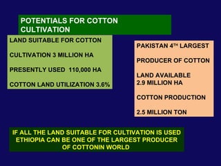 POTENTIALS FOR COTTON CULTIVATION LAND SUITABLE FOR COTTON  CULTIVATION 3 MILLION HA PRESENTLY USED  110,000 HA COTTON LAND UTILIZATION 3.6% PAKISTAN 4 TH  LARGEST  PRODUCER OF COTTON LAND AVAILABLE  2.9 MILLION HA COTTON PRODUCTION 2.5 MILLION TON IF ALL THE LAND SUITABLE FOR CULTIVATION IS USED ETHIOPIA CAN BE ONE OF THE LARGEST PRODUCER OF COTTONIN WORLD  