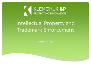 Ip Enforcement The Global Digital Enforcement Of Intellectual Property – AQAN