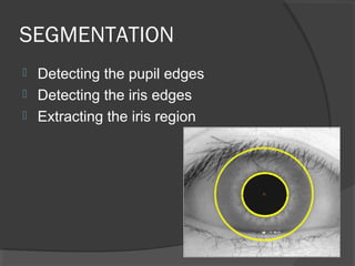 SEGMENTATION 
 Detecting the pupil edges 
 Detecting the iris edges 
 Extracting the iris region 
 