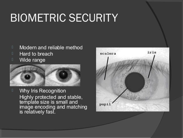 Master Thesis Iris Recognition✏️ รข¢ Order a research paper
