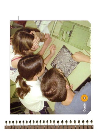 Finalitats I Models 1