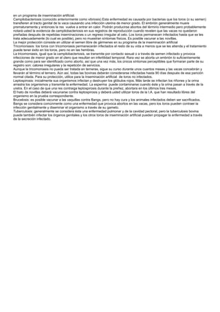 en un programa de inseminación artificial.
Campilobacteriosis (conocido anteriormente como vibriosis) Esta enfermedad es causada por bacterias que los toros (o su semen)
transfieren al tracto genital de la vaca causando una infección uterina de menor grado. El embrión generalmente muere
prematuramente y entonces la res vuelve a entrar en calor. Podrán producirse abortos del término intermedio pero probablemente
notará usted la evidencia de campilobacteriosis en sus registros de reproducción cuando revelen que las vacas no quedaron
preñadas después de repetidas inseminaciones o un regreso irregular al celo. Los toros permanecen infectados hasta que se les
trata adecuadamente (lo cual es posible), pero no muestran síntomas físicos. Es posible vacunar a las novillas.
La mejor protección consiste en utilizar el semen libre de gérmenes en su programa de la inseminación artificial
Tricomoniasis: los toros con tricomoniasis permanecerán infectados el resto de su vida a menos que se les atienda y el tratamiento
puede tener éxito en los toros, pero no en las hembras.
La tricomoniasis, igual que la campilobacteriosis, se transmite por contacto sexual o a través de semen infectado y provoca
infecciones de menor grado en el útero que resultan en infertilidad temporal. Rara vez se aborta un embrión lo suficientemente
grande como para ser identificado como aborto, así que una vez más, los únicos síntomas perceptibles que formaran parte de su
registro son: calores irregulares y la repetición de servicios.
Aunque la tricomoniasis no pueda ser tratada en terneras, sigue su curso durante unos cuantos meses y las vacas concebirán y
llevarán al término el ternero. Aún así, todas las bovinas deberán considerarse infectadas hasta 90 días después de esa parición
normal citada. Para su protección, utilice para la Inseminación artificial de toros no infectados.
Leptospirosis: inicialmente sus organismos infectan y destruyen los glóbulos rojos. Más tarde se infectan los riñones y la orina
arrastra los organismos y transmite la enfermedad. La esperma puede contaminarse cuando éste y la orina pasan a través de la
uretra. En el caso de que una res contraiga leptospirosis durante la preñez, abortara en los últimos tres meses.
El hato de novillas deberá vacunarse contra leptospirosis y deberá usted utilizar toros de la I.A. que han resultado libres del
organismo en la prueba correspondiente.
Brucelosis: es posible vacunar a las vaquillas contra Bangs, pero no hay cura y los animales infectados deben ser sacrificados.
Bangs se considera comúnmente como una enfermedad que provoca abortos en las vacas, pero los toros pueden contraer la
infección genitalmente y diseminar el organismo a través de su gameto.
Tuberculosis: generalmente se considera ésta una enfermedad pulmonar y de la cavidad pectoral, pero la tuberculosis bovina
puede también infectar los órganos genitales y los otros toros de inseminación artificial pueden propagar la enfermedad a través
de la secreción infectado.
 