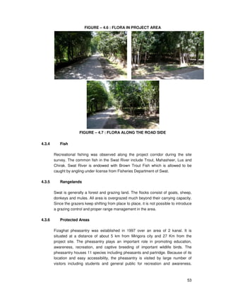 53
FIGURE – 4.6 : FLORA IN PROJECT AREA
FIGURE – 4.7 : FLORA ALONG THE ROAD SIDE
4.3.4 Fish
Recreational fishing was observed along the project corridor during the site
survey. The common fish in the Swat River include Trout, Mahasheer, Lus and
Chirak. Swat River is endowed with Brown Trout Fish which is allowed to be
caught by angling under license from Fisheries Department of Swat.
4.3.5 Rangelands
Swat is generally a forest and grazing land. The flocks consist of goats, sheep,
donkeys and mules. All area is overgrazed much beyond their carrying capacity.
Since the grazers keep shifting from place to place, it is not possible to introduce
a grazing control and proper range management in the area.
4.3.6 Protected Areas
Fizaghat pheasantry was established in 1997 over an area of 2 kanal. It is
situated at a distance of about 5 km from Mingora city and 27 Km from the
project site. The pheasantry plays an important role in promoting education,
awareness, recreation, and captive breeding of important wildlife birds. The
pheasantry houses 11 species including pheasants and partridge. Because of its
location and easy accessibility, the pheasantry is visited by large number of
visitors including students and general public for recreation and awareness.
 