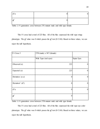 19
d2/e 0 0
𝛘2
0
Table 2. F1 generation cross between 27E mutant male and wild type female.
This F1 cross had a total of 225 flies. All of the flies expressed the wild type wings
phenotype. The 𝛘2 value was 0 which passes the 𝛘2 test (0<3.84). Based on these values, we can
reject the null hypothesis.
F1 Cross 3 27D (male) x WT (female)
Wild Type (red eyes) Sepia Eyes
Observed (o) 223 0
Expected (e) 223 0
Deviation (o-e) 0 0
Deviation2 (d2) 0 0
d2/e 0 0
𝛘2 0
Table 3. F1 generation cross between 27D mutant male and wild type female.
This F1 cross had a total of 223 flies. All of the flies expressed the wild type eye color
phenotype. The 𝛘2 value was 0 which passes the 𝛘2 test (0<3.84). Based on these values, we can
reject the null hypothesis.
 