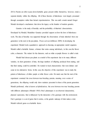 2
2013). Parents are able to pass down heritable genes present within themselves, however, retain a
separate identity within the offspring. All of these theories of inheritance were largely presumed
through assumption rather than factual experimentation. This was until a monk named Gregor
Mendel developed a mechanism that drove his legacy as the founder of modern genetics.
Genetics is the study of heredity and the probability of inherited characteristics.
Developed by Mendel, Mendelian Genetics provided support on how the laws of inheritance
work. The idea of heredity was supported through the observations of traits inherited from one
generation to the next in the pea plants, Pisum sativum (Jefferson 2009). In developing his
experiment Mendel took a quantitative approach to choosing an appropriate model organism.
Mendel called a heritable feature, a feature that varies among individuals, in this case the flower
color, a character. The variant for the character, such as white or purple flowers is called a trait.
Mendel had chosen pea plants as a model of his experiment due to its many different
varieties, its short generation of time, the large numbers of offspring produced from mating, and
that their mating could be controlled. He wanted to track characteristics that were distinct and
came in two alternative forms. In this case, the objective of this experiment was to study the
pattern of inheritance of either purple or white flower color. He made sure that the start of the
experiment consisted the cross between true-breeding parents, meaning over a series of
generations, the offspring would only show variation presented in those of the parent generation.
Mendel performed, what is known as hybridization, the cross between two-true breeding parents
with different phenotypes (Mendel 1965). One’s phenotypes is an observed characteristic,
physical expression, that is influenced by the interaction of its genotype with the environment.
One’s genotype is a set of genes that it carries, or the genetic makeup of what makes a trait.
Mendel referred genes as a heritable factor.
 