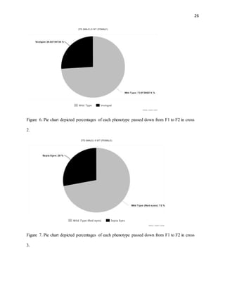 26
Figure 6. Pie chart depicted percentages of each phenotype passed down from F1 to F2 in cross
2.
Figure 7. Pie chart depicted percentages of each phenotype passed down from F1 to F2 in cross
3.
 