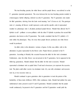 3
The true-breeding parents, the white flower and the purple flower, was referred to as the
P – generation (parental generation). The cross between the two true breeding parents resulted in
a heterozygous hybrid offspring referred to as the F1 generation. The F1 generation also stands
for filial generation, deriving from the Latin word meaning “son” (Corcos et. al.). The genotype
ratio is 1, meaning all flowers would represent a color and the specific color it represented
resulted in a phenotype ratio 1; all plants produced purple flowers. Mendel than allowed the F1
hybrids to self – pollinate or cross pollinate with the other F1 hybrids to produce the second filial
generation also known as the F2 generation. The results concluded that the F2’s yielded a 3:1
ratio within the phenotypes. Thus, for every three purple flowers produced, one white flower
would be produced.
An allele refers to the alternative versions of genes. In this case, alleles refer to the
alternation in genes represented by the flower color. Purple flowers persisted in the F1
generation. According to Mendel, this occurred because the allele for this trait is dominant.
Furthermore, since the white flower was not present in the F1 generation, but re-appeared in the
following generations, Mendel claimed that the allele for this trait is recessive. Mendel
represented a dominant trait as capital letter P and used a lowercase p to represent the recessive
trait. The plant could either receive two dominant traits AA, one with a dominant and recessive
trait Aa, or two recessive traits aa.
Mendel continued to grow generation after to generation to track the pattern of the
heritability of these traits (Jefferson 2009). After continuous trials, Mendel had yielded the same
mathematical ratios present in each F1 and F2 generation. Mendel concluded that the purple
would continuously be present in the F1 generation and the F2 generation would yield the
 