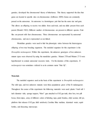 7
genetics, developed the chromosomal theory of inheritance. This theory supported the idea that
genes are located in specific sites on chromosomes (Jefferson 2009). Genes are commonly
passed on the autosomes. An autosome is a homologous pair that has the same size and gene.
This allows an offspring to receive two alleles from each trait, and one allele present from each
parent (Mendel 1965). Different number of chromosomes are present in different species. Fruit
flies are present with four chromosomes. Three chromosomes are represented by autosomal
chromosomes, and one is represented as sex-linked.
Mendelian genetics were used to find the phenotypic ratios between the heterozygous
offspring of two true breeding organisms. The modeled organism for this experiment is the
Drosophila melanogaster. Within this experiment, the unknown genotypes of two unknown
mutant types were observed by using the mendelian genetics. Mutant 27D and Mutant 27 E were
hypothesized to contain autosomal recessive traits. For the duration of this experiment, D.
melanogaster was sometimes referred to as its common name “fruit fly”.
Materials
The modeled organism used as the basis of this experiment is Drosophila melanogaster.
The wild type, and two unknown mutants were three populations given of the D. melanogaster.
Throughout the course of this experiment the following materials were used: plastic 5 inch tall 1
inch diameter vials, sponge toppers, “blow” gun attached to CO2 gas tank, shoe box, two pill
boxes, Kim-wipes, array of different colors of labeling tape, paint brushes, ethyl acetate, kill jar,
platform that releases CO2 gas, field notebook, Carolina Blue medium, deionized water, squirt
bottles, and dissecting microscope.
 