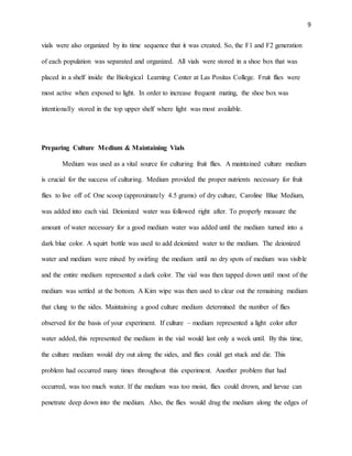 9
vials were also organized by its time sequence that it was created. So, the F1 and F2 generation
of each population was separated and organized. All vials were stored in a shoe box that was
placed in a shelf inside the Biological Learning Center at Las Positas College. Fruit flies were
most active when exposed to light. In order to increase frequent mating, the shoe box was
intentionally stored in the top upper shelf where light was most available.
Preparing Culture Medium & Maintaining Vials
Medium was used as a vital source for culturing fruit flies. A maintained culture medium
is crucial for the success of culturing. Medium provided the proper nutrients necessary for fruit
flies to live off of. One scoop (approximately 4.5 grams) of dry culture, Caroline Blue Medium,
was added into each vial. Deionized water was followed right after. To properly measure the
amount of water necessary for a good medium water was added until the medium turned into a
dark blue color. A squirt bottle was used to add deionized water to the medium. The deionized
water and medium were mixed by swirling the medium until no dry spots of medium was visible
and the entire medium represented a dark color. The vial was then tapped down until most of the
medium was settled at the bottom. A Kim wipe was then used to clear out the remaining medium
that clung to the sides. Maintaining a good culture medium determined the number of flies
observed for the basis of your experiment. If culture – medium represented a light color after
water added, this represented the medium in the vial would last only a week until. By this time,
the culture medium would dry out along the sides, and flies could get stuck and die. This
problem had occurred many times throughout this experiment. Another problem that had
occurred, was too much water. If the medium was too moist, flies could drown, and larvae can
penetrate deep down into the medium. Also, the flies would drag the medium along the edges of
 