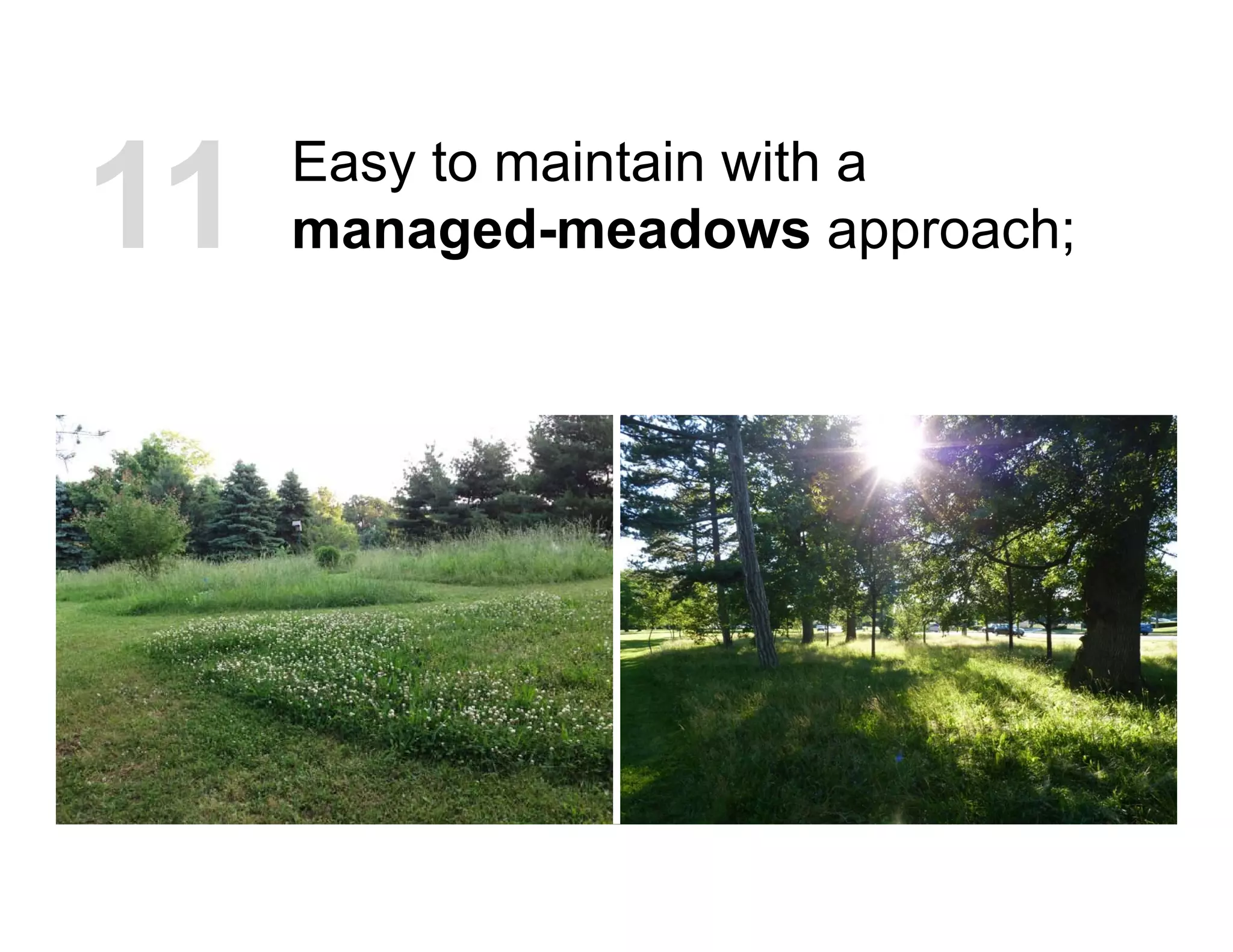 Easy to maintain with a
managed-meadows approach;11
 