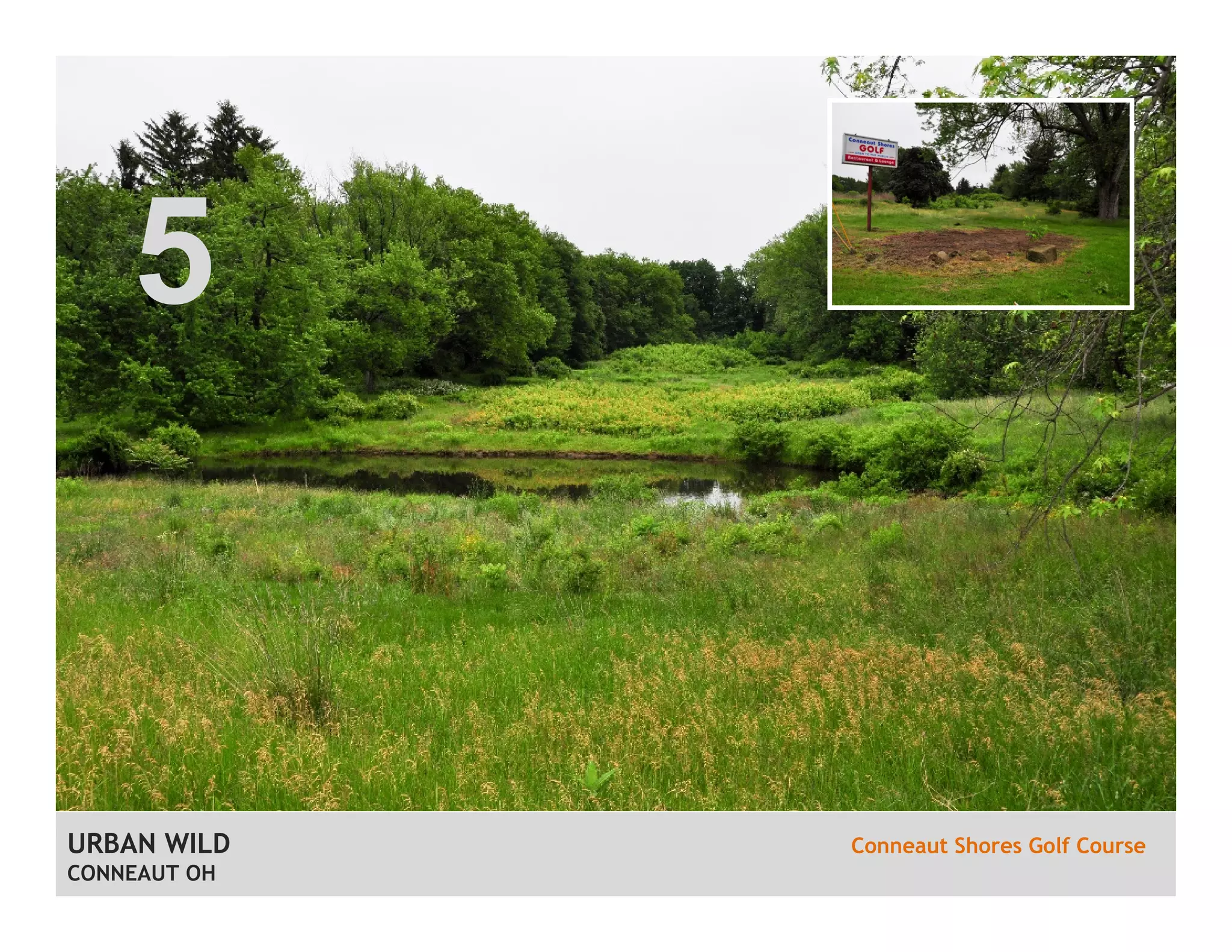 URBAN WILD Conneaut Shores Golf Course
CONNEAUT OH
5
 