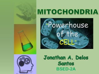 “Powerhouse
of the
CELL”
 