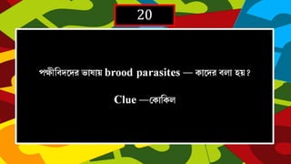 20
  brood
parasites    
Clue 
 