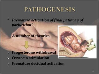 “ Premature activation of final pathway of
parturition”
A number of theories
 Progesterone withdrawal
 Oxytocin stimulation
 Premature decidual activation
14
aaaaa
aaaaa
aaaa
 