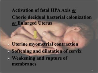 Activation of fetal HPAAxis or
Chorio decidual bacterial colonization
or Enlarged Uterus
 Uterine myometrial contraction
 Softening and dilatation of cervix
 Weakening and rupture of
membranes
15
 