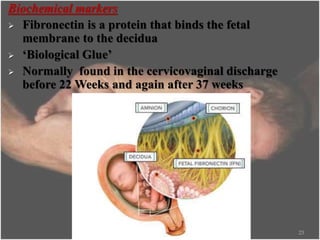 Biochemical markers
 Fibronectin is a protein that binds the fetal
membrane to the decidua
 ‘Biological Glue’
 Normally found in the cervicovaginal discharge
before 22 Weeks and again after 37 weeks
23
 