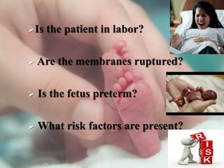 Is the patient in labor?
 Are the membranes ruptured?
 Is the fetus preterm?
 What risk factors are present?
31
 