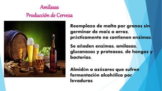 Amilasas
Producción de Cerveza
Reemplazo de malta por granos sin
germinar de maíz o arroz,
prácticamente no contienen enzimas.
Se añaden enzimas, amilasas,
glucanasas y proteasas, de hongos y
bacterias.
Almidón a azúcares que sufren
fermentación alcohólica por
levaduras.
 