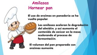 Amilasas
Hornear pan
El uso de enzimas en panadería se ha
vuelto popular.
Las amilasas aceleran la degradación
del almidón, y así aumenta el
contenido de azúcar en la masa,
acelerando el proceso de
fermentación.
El volumen del pan preparado con
enzimas aumenta.
 