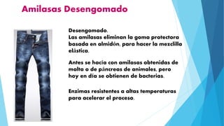 Amilasas Desengomado
Desengomado.
Las amilasas eliminan la goma protectora
basada en almidón, para hacer la mezclilla
elástica.
Antes se hacía con amilasas obtenidas de
malta o de páncreas de animales, pero
hoy en día se obtienen de bacterias.
Enzimas resistentes a altas temperaturas
para acelerar el proceso.
 