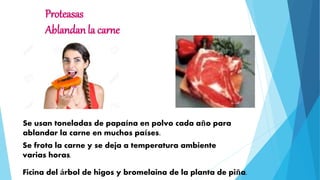 Proteasas
Ablandan la carne
Se usan toneladas de papaína en polvo cada año para
ablandar la carne en muchos países.
Ficina del árbol de higos y bromelaina de la planta de piña.
Se frota la carne y se deja a temperatura ambiente
varias horas.
 