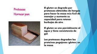 Proteasas
Hornear pan
El gluten se degrada por
proteasas obtenidas de hongos
para hacer la masa más fácil de
manejar y aumenta su
capacidad para retener
burbujas de aire.
El gluten se une parcialmente al
agua y tiene consistencia de
gel.
Las proteasas degradan las
proteínas pegajosas (gluten) en
la masa.
 