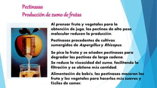 Pectinasas
Producción de zumo de frutas
Al prensar fruta y vegetales para la
obtención de jugo, las pectinas de alto peso
molecular reducen la producción.
Se pica la fruta y se añaden pectinasas para
degradar las pectinas de larga cadena.
Pectinasas procedentes de cultivos
sumergidos de Aspergillus y Rhizopus.
Se reduce la viscosidad del zumo, facilitando la
filtración y se obtiene más cantidad.
Alimentación de bebés, las pectinasas maceran las
fruta y los vegetales para hacerlos más suaves y
fáciles de comer.
 