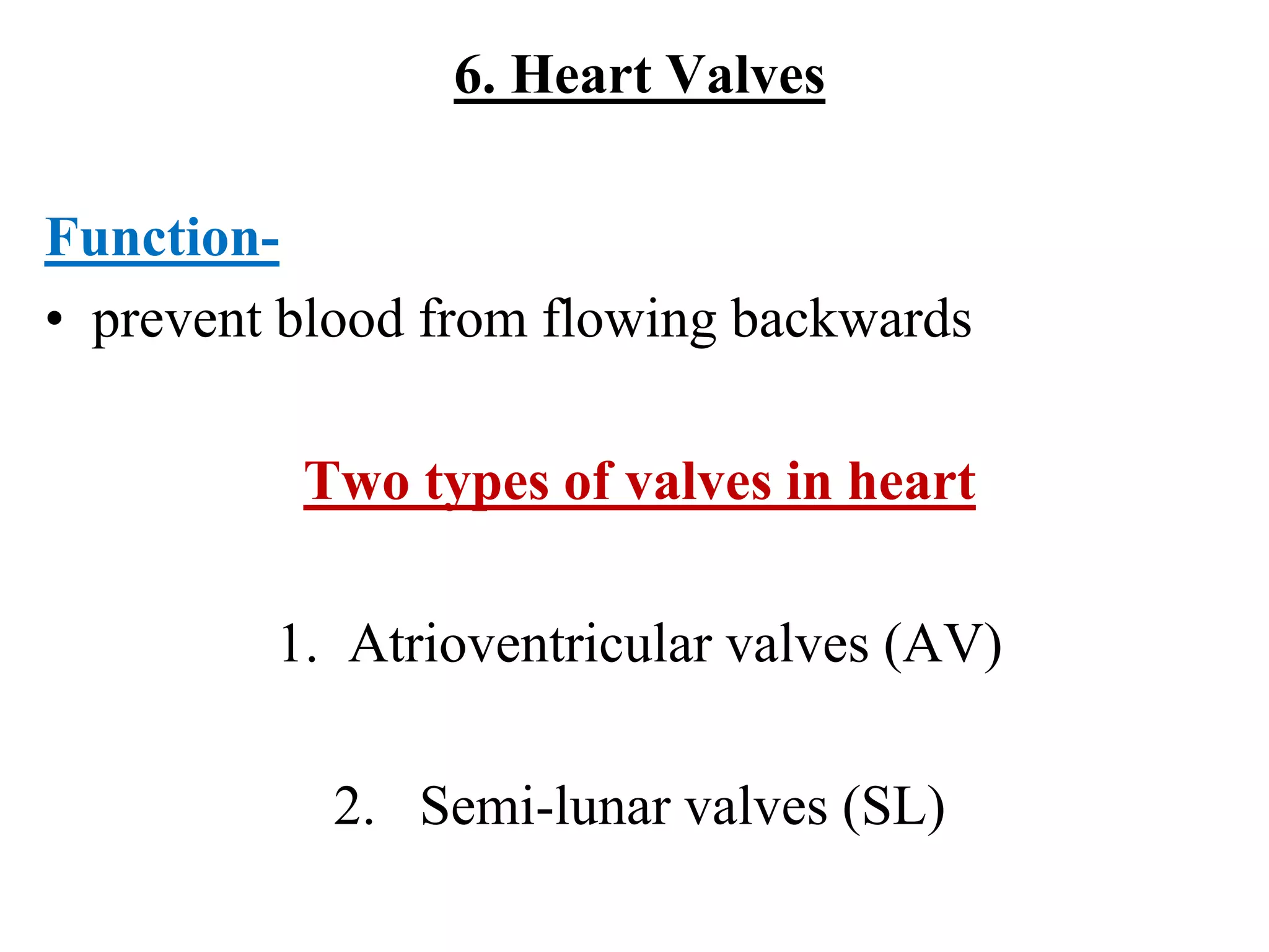 6. Heart Valves
Function-
• prevent blood from flowing backwards
Two types of valves in heart
1. Atrioventricular valves (AV)
2. Semi-lunar valves (SL)
 