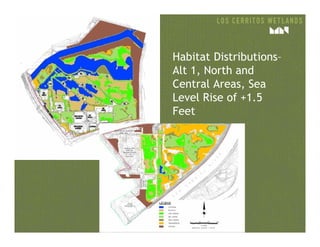 Habitat Distributions–
Alt 1, North and
Central Areas, Sea
Level Rise of +1.5
Feet
 