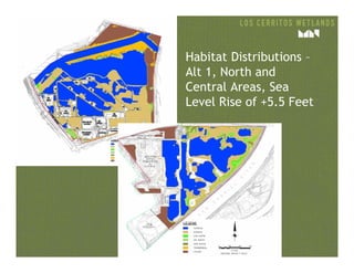 Habitat Distributions –
Alt 1, North and
Central Areas, Sea
Level Rise of +5.5 Feet
 