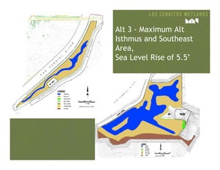 Alt 3 - Maximum Alt
Isthmus and Southeast
Area,
Sea Level Rise of 5.5’
 