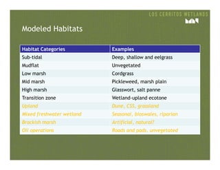 Modeled Habitats
Habitat Categories Examples
Sub-tidal Deep, shallow and eelgrass
Mudflat Unvegetated
Low marsh Cordgrass
Mid marsh Pickleweed, marsh plain
High marsh Glasswort, salt panne
Transition zone Wetland-upland ecotone
Upland Dune, CSS, grassland
Mixed freshwater wetland Seasonal, bioswales, riparian
Brackish marsh Artificial, natural?
Oil operations Roads and pads, unvegetated
 