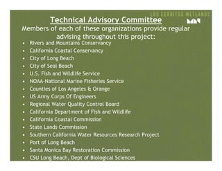 Technical Advisory Committee
Members of each of these organizations provide regular
advising throughout this project:
• Rivers and Mountains Conservancy
• California Coastal Conservancy
• City of Long Beach
• City of Seal Beach
• U.S. Fish and Wildlife Service
• NOAA-National Marine Fisheries Service
• Counties of Los Angeles & Orange• Counties of Los Angeles & Orange
• US Army Corps Of Engineers
• Regional Water Quality Control Board
• California Department of Fish and Wildlife
• California Coastal Commission
• State Lands Commission
• Southern California Water Resources Research Project
• Port of Long Beach
• Santa Monica Bay Restoration Commission
• CSU Long Beach, Dept of Biological Sciences
 